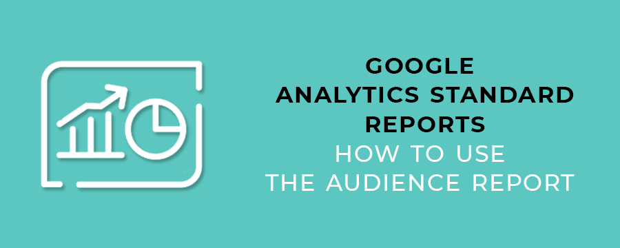 Google Analytics Standard Reports - How to Use The Audience Report